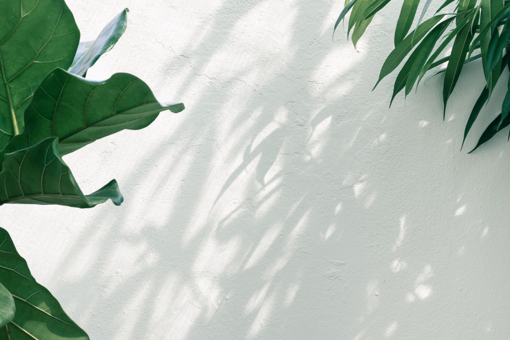Công ty Cổ phần Tân Nghĩa Sơn