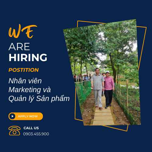Nhân viên Marketing và Quản lý Sản phẩm