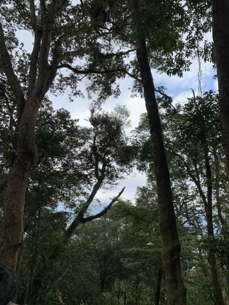 Công ty Cổ phần Tân Nghĩa Sơn