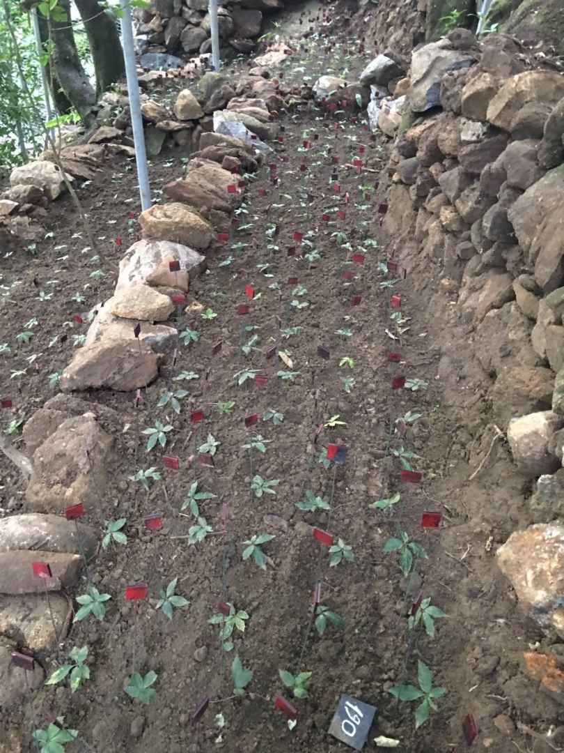 Công ty Cổ phần Tân Nghĩa Sơn