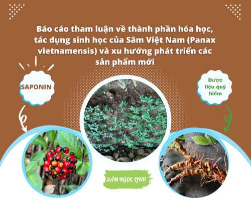 Báo cáo tham luận về thành phần hóa học, tác dụng sinh học của Sâm Việt Nam (Panax vietnamensis) và xu hướng phát triển các sản phẩm mới