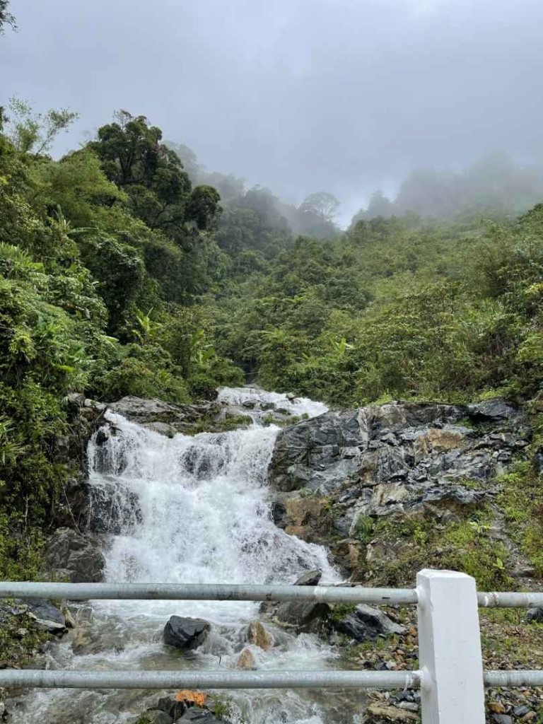 Công ty Cổ phần Tân Nghĩa Sơn