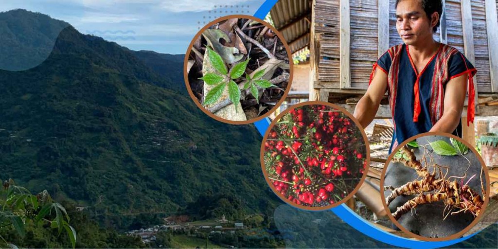 Công ty Cổ phần Tân Nghĩa Sơn