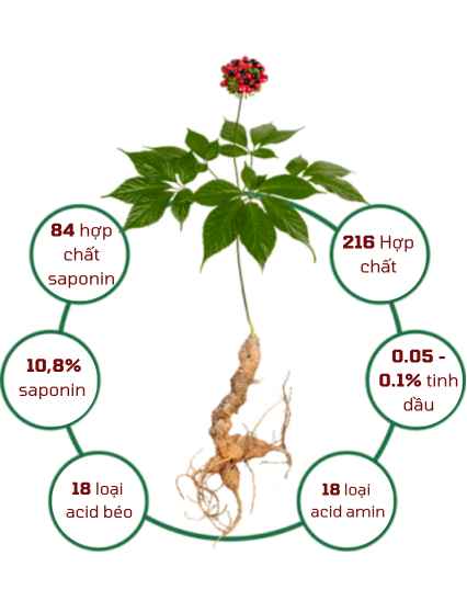 Công ty Cổ phần Tân Nghĩa Sơn